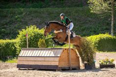 Am Wochenende startet im Reiterpark Max Habel in Süsel ein Vielseitigkeitsturnier der Klasse A* sowie L-leicht und L schwer.