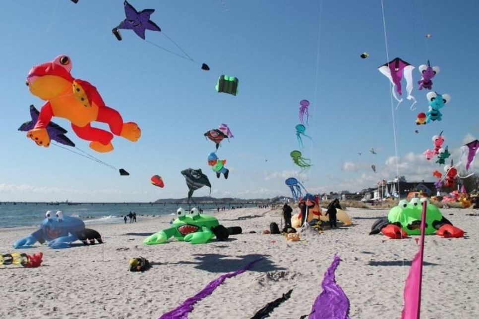 Beim Drachenfest können die Besucher in eine Welt voller bunter Farben und prächtiger Flugkreaturen eintauchen.
