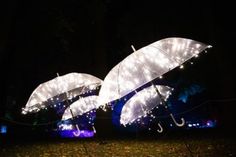 Zauberhafte Nächte beim Lichtermeer im Stadtpark