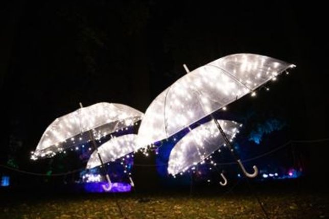 Zauberhafte Nächte beim Lichtermeer im Stadtpark