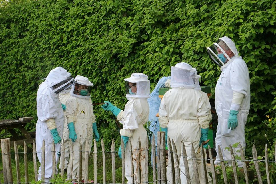 Abenteuer Bienenstock: Grundschulkinder der Friedrich-Hiller-Schule erhalten im Rahmen des Projektes Einblicke in die Imkerei.