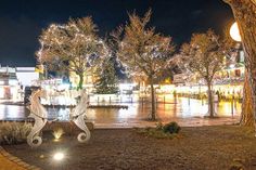 Auch in diesem Jahr sorgt die Weihnachtsbeleuchtung für ganz besondere Stimmung in Timmendorfer Strand – die Aktivgruppe als Initiator der Aktion bittet dafür bei Gewerbetreibenden aber auch bei Privatpersonen um Untertstützung der Aktion.