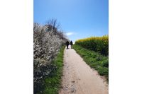 Da bekommt man Lust auf einen Frühlingsspaziergang, am besten ausgerüstet mit Kamera, so wie Regina Lau, die für dieses Foto in Brodau unterwegs war.