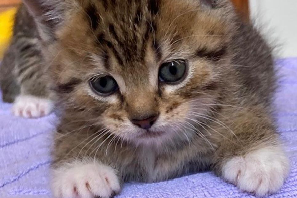 Emil lässt es gerne ruhig angehen.