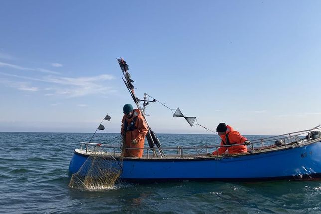 Die Veranstaltung gibt einen Einblick, wie es momentan um die Ostseefischerei steht, wie sich das Ökosystem Ostsee verändert und was die Fischereiforschung beschäftigt.
