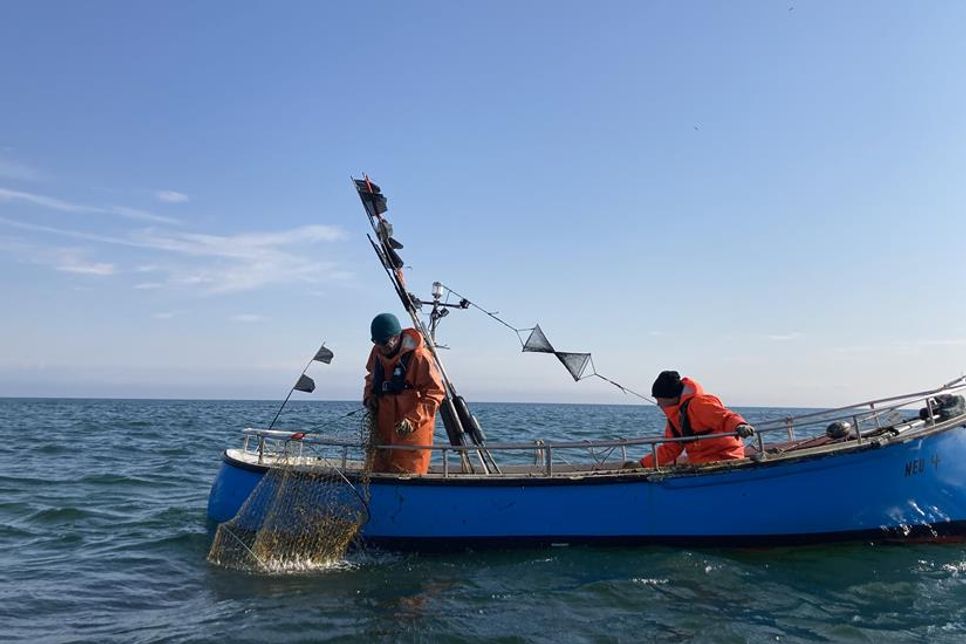 Die Veranstaltung gibt einen Einblick, wie es momentan um die Ostseefischerei steht, wie sich das Ökosystem Ostsee verändert und was die Fischereiforschung beschäftigt.