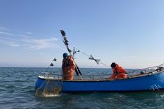 Die Veranstaltung gibt einen Einblick, wie es momentan um die Ostseefischerei steht, wie sich das Ökosystem Ostsee verändert und was die Fischereiforschung beschäftigt.
