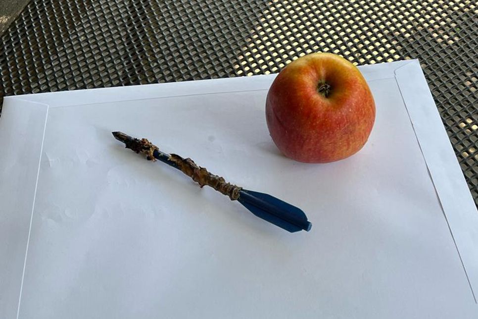 Größenvergleich des Geschosses mit einem Apfel.