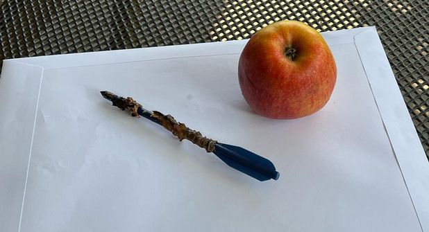 Größenvergleich des Geschosses mit einem Apfel.