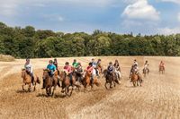 Der ländlich gelegene Hof bietet vielseitige Möglichkeiten für Ausritte. Im Spätsommer geht es auch mal im Galopp über das Stoppelfeld.