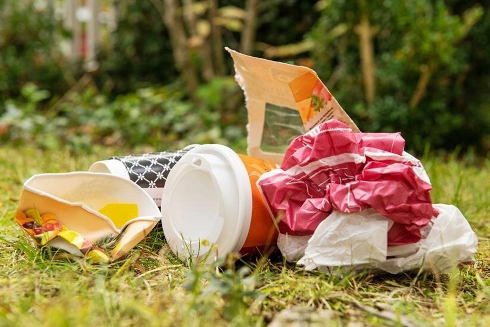 Littering schadet der Umwelt, richtige Abfalltrennung dagegen schont Ressourcen und Klima. (Foto: Initiative „Mülltrennung wirkt“/ Marcella Merk)