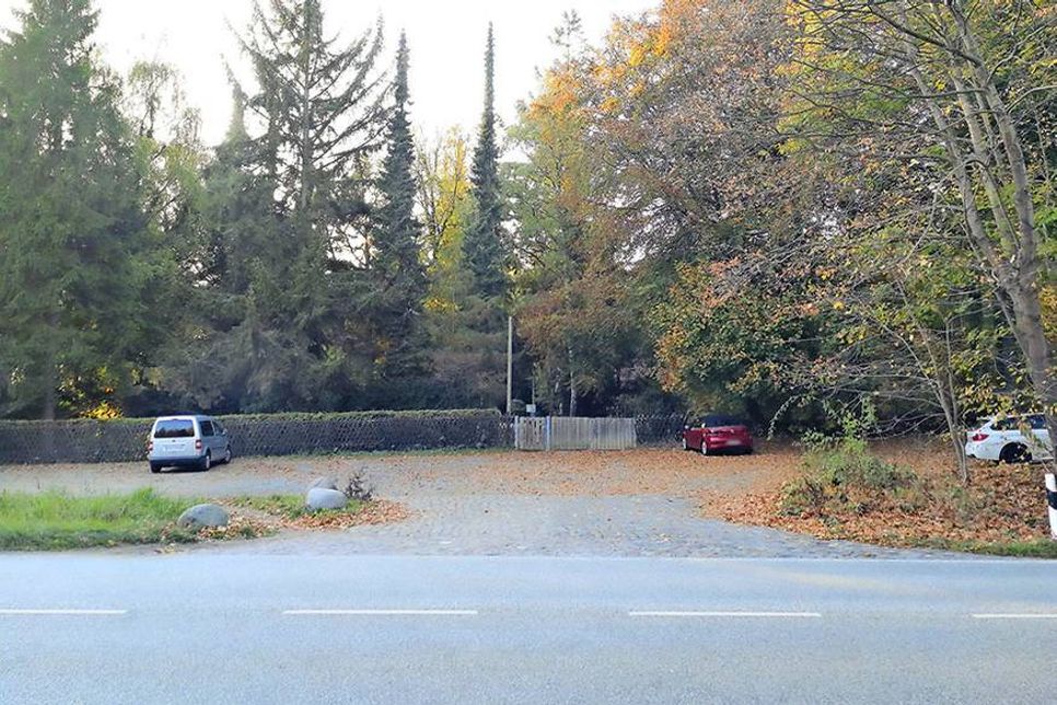 Am 15. Oktober wurde der gefesselte Mann, der zuvor als vermisst gemeldet wurde, auf dem Waldfriedhof an der B 76 in Timmendorfer Strand abgelegt. (Foto: René Kleinschmidt)