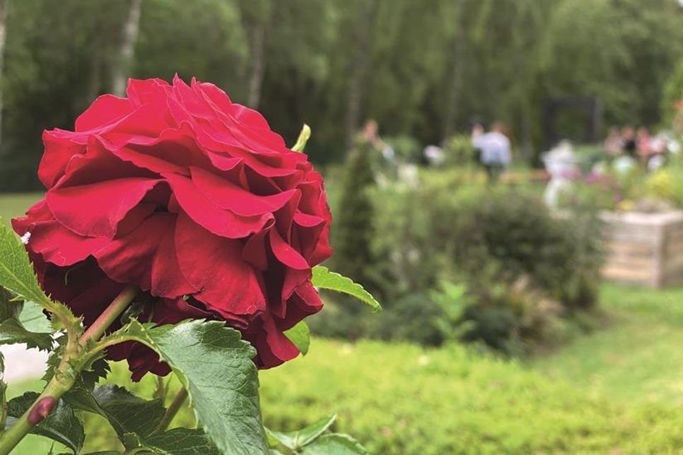 Gemeinsam Abschied nehmen. (Foto: Deutsche Friedhofsgesellschaft/akz-o)