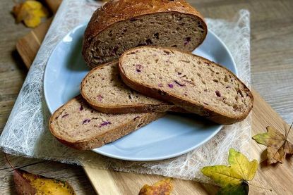 Sehen nicht nur köstlich aus, sondern schmecken aus so: das „Kohlbrot“ und der „Kürbisstuten“.