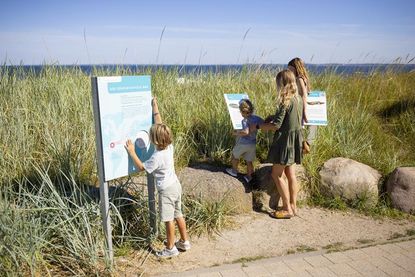 Auf dem Fischerei-Erlebnispfad gibt interessante Einblicke in das Leben und Fischen an der Küste. (Foto: TALB/Christian Schaffrath)