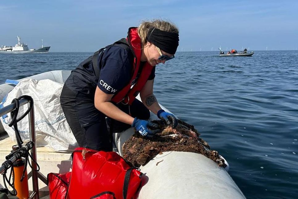 Sorgsam wurden mehrere Tiere aus den Netzen herausgeschnitten.