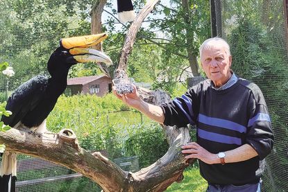 „Vogelvater“ Klaus Langfeldt, hier mit einem seltenen Rhinozeros-Hornvogel, hat sein Lebenswerk, den Vogelpark Niendorf/Ostsee, jetzt in jüngere Hände übergeben.