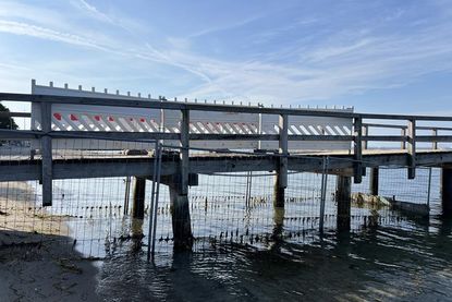 Die Seebrücke in Neustadt ist jetzt 20 Jahre alt. Ein Ersatzneubau könnte bei entsprechender Förderung frühestens im Herbst  2026 beginnen.