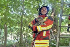 Ein „Klassiker“ unter den Feuerwehreinsätzen.