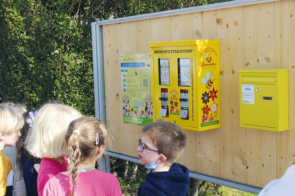 Der Bienenfutterautomat hängt in der Nähe der Ostsee-Grundschule Scharbeutz.