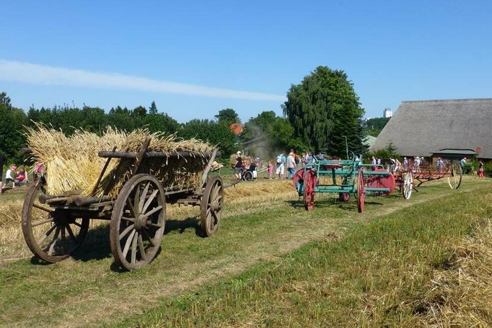 Auf dem Museumshof Lensahn kommen einige der historischen Geräte zum Einsatz, wie zum Beispiel die Lanz-Dreschmaschine, ein Stiftendrescher und die Windfege.