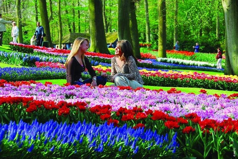 Im historischen Park von Schloss Gavnø findet das größte und älteste Tulpenfest Dänemarks statt.