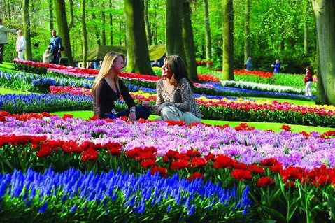 Im historischen Park von Schloss Gavnø findet das größte und älteste Tulpenfest Dänemarks statt.