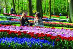 Im historischen Park von Schloss Gavnø findet das größte und älteste Tulpenfest Dänemarks statt.