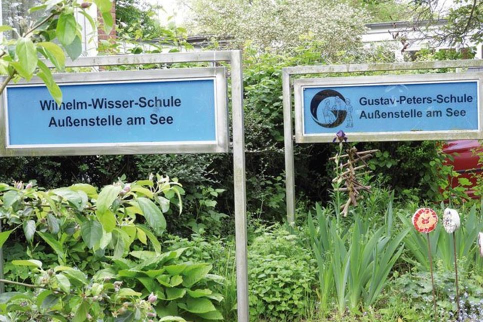 Kein gemeinsamer Campus am See für Wisser- und Petersschule - das ist das Ergebnis des Bürgerentscheides.