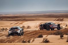 Das Projekt „normale Startposition“ kommt voran: gutes Tagesresultat für Scheich Khalid Al-Qassimi und Dirk von Zitzewitz. Foto: MCH Photo