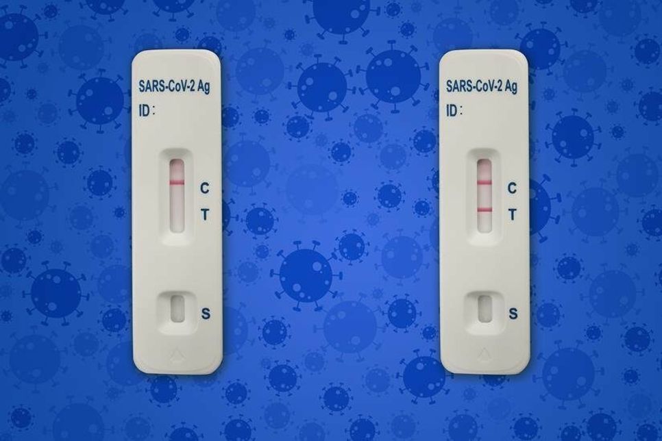 Quarantäne oder Isolation? Das hängt maßgeblich davon ab, ob der Coronatest positiv oder negativ ist.