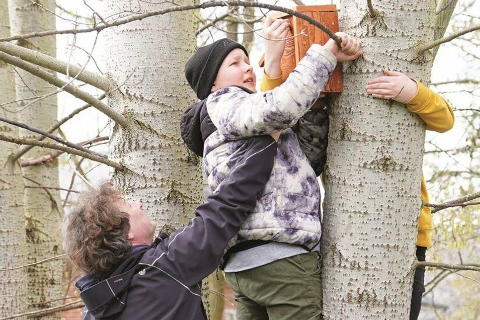 Fynn, Björn, John, Aiven bringen mit ihrem Lehrer Rafael Wieczorek einen Starenkasten in der Wunderwelt Wasser an.