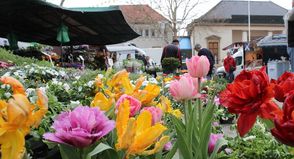 Statt wie gewohnt am Freitag, kann man bereits am Donnerstag auf dem Wochenmarkt in Neustadt einkaufen gehen.