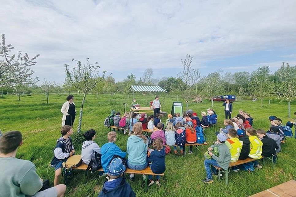 Interessierte Schüler der Stadtschule Travemünde beim Besuch der Streuobstwiese am 15. Mai.