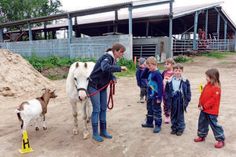 Hütchen-Parcours mit Sammy – Ben, Jacob, Felix, Maya und Helene finden es super auf dem Frohberg-Hof.
