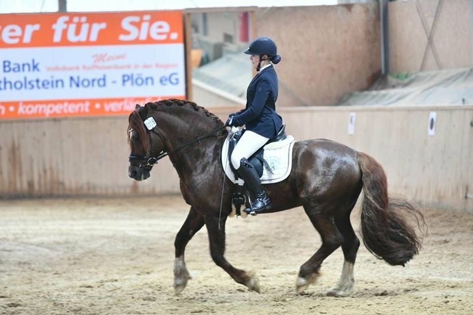 Carolin Eisermann und Lord Luck lieferten am Dressurtag souveräne Vorstellungen ab und errangen einen Sieg und einen zweiten Platz.