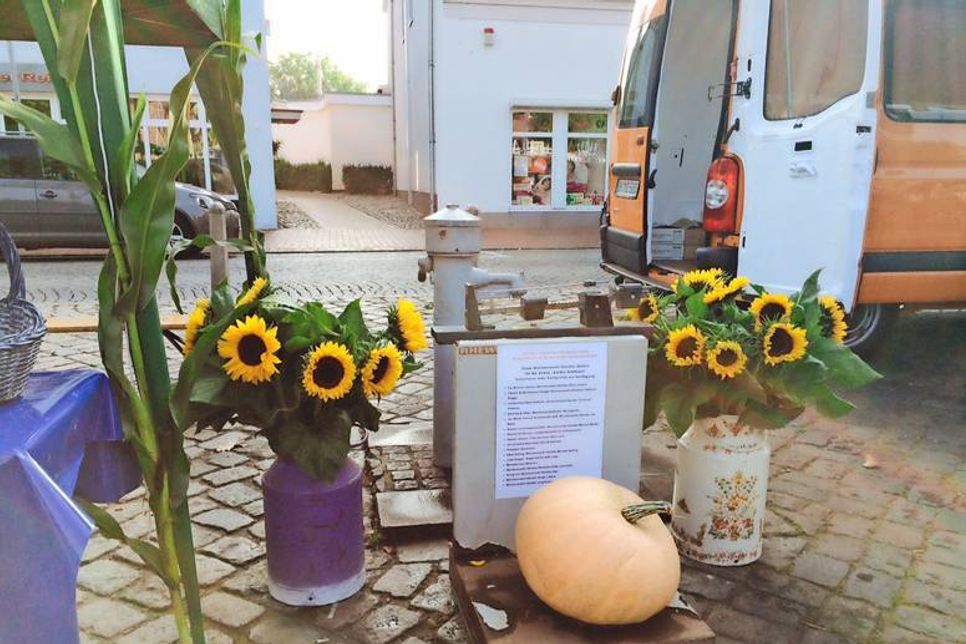 Der große Kürbis wog ganz genau 15,4 Kilo.