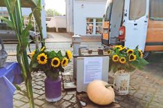 Der große Kürbis wog ganz genau 15,4 Kilo.