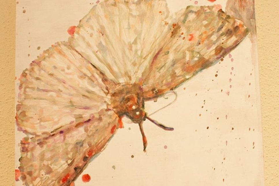 Schmetterling von Svenja Wetzenstein.