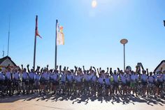 Über 100 Radrennsportler trainieren bei der Rennradwoche zwischen Raps und Ostsee. (Foto: ©www.luebecker-bucht-ostsee.de)