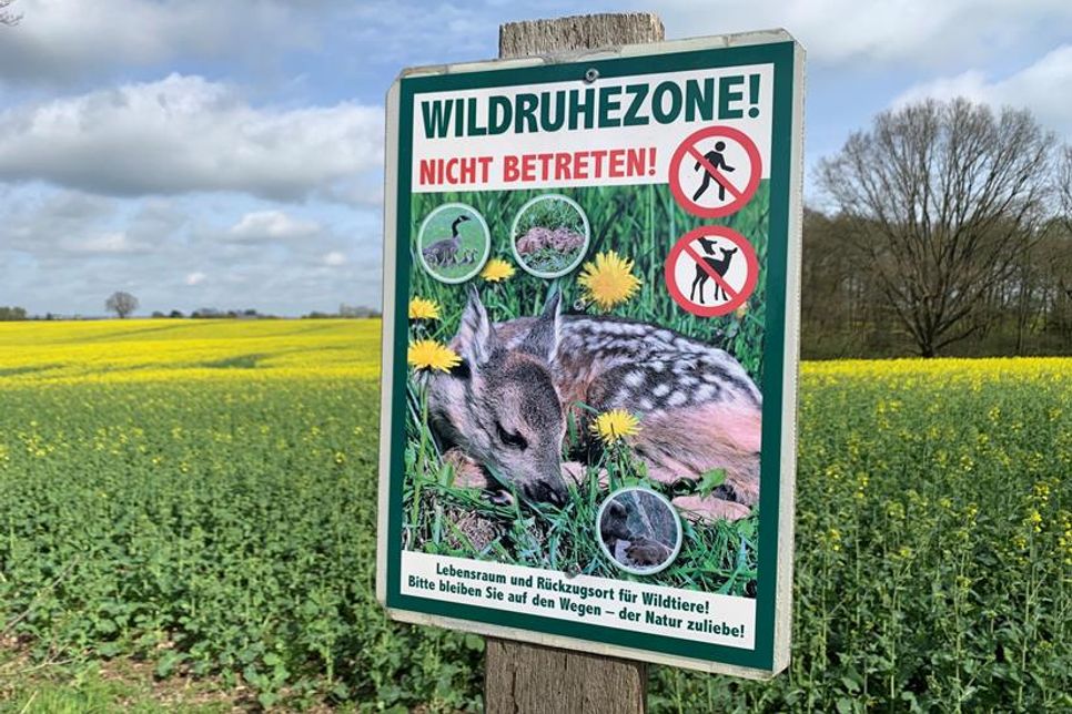 Die Wildruhezonen dürfen nicht betreten werden.