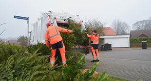 Die Bäume müssen vollständig von Schmuck und Dekorationen befreit sein.