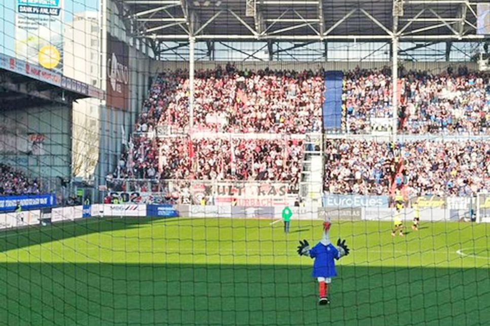 Maskottchen Stolle „dirigierte“ die Holstein-Fans.