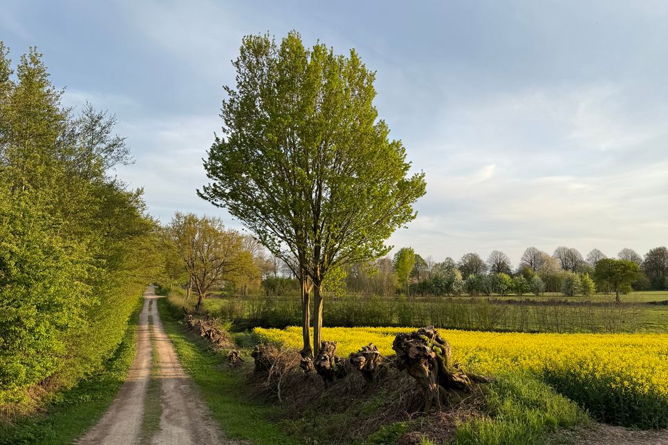 Unser wunderschönes Ostholstein.