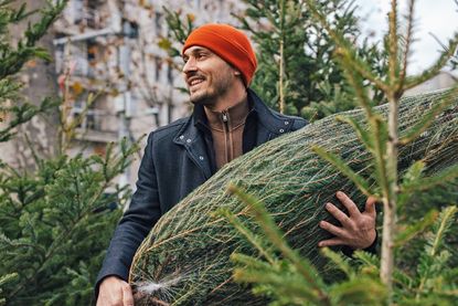 Ohne Plastikgeruch, dafür mit echtem Tannenduft: Zu Weihnachten mögen es die Menschen traditionell. Foto: DJD/VNWB/Getty Images/miniseries