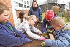 In der Malenter Grundschule hat man sich rechtzeitig auf den Frühling vorbereitet. In einem Bereich des Schulgeländes, das lange im Abseits lag und wucherndem Gestrüpp überlassen war, stehen jetzt nicht nur zwei Hochbeete, die vor den Osterferien im Rahmen des „Erlebnis Küchengarten“ mit Barbara Weber (Mitte) aufgestellt und bepflanzt wurden – hier soll ein richtiger kleiner Schulgarten entstehen. Am Engagement von Kindern, Hausmeister und Lehrkräften mangelt es jedenfalls nicht.