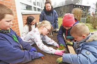 In der Malenter Grundschule hat man sich rechtzeitig auf den Frühling vorbereitet. In einem Bereich des Schulgeländes, das lange im Abseits lag und wucherndem Gestrüpp überlassen war, stehen jetzt nicht nur zwei Hochbeete, die vor den Osterferien im Rahmen des „Erlebnis Küchengarten“ mit Barbara Weber (Mitte) aufgestellt und bepflanzt wurden – hier soll ein richtiger kleiner Schulgarten entstehen. Am Engagement von Kindern, Hausmeister und Lehrkräften mangelt es jedenfalls nicht.