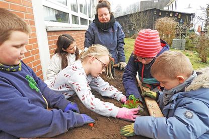 In der Malenter Grundschule hat man sich rechtzeitig auf den Frühling vorbereitet. In einem Bereich des Schulgeländes, das lange im Abseits lag und wucherndem Gestrüpp überlassen war, stehen jetzt nicht nur zwei Hochbeete, die vor den Osterferien im Rahmen des „Erlebnis Küchengarten“ mit Barbara Weber (Mitte) aufgestellt und bepflanzt wurden – hier soll ein richtiger kleiner Schulgarten entstehen. Am Engagement von Kindern, Hausmeister und Lehrkräften mangelt es jedenfalls nicht.