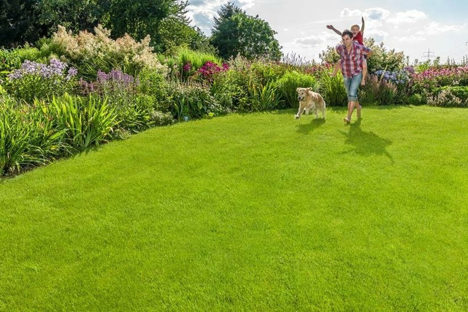 Ein Rasen ist oft das Herzstück vieler Gärten - als Spielwiese für die Kinder, als Untergrund für das perfekte Outdoor-Essen oder als Liegefläche für entspannte Sommerstunden. Damit die Grünfläche ihren Zweck auch erfüllen kann, sollten bereits vor dem Anlegen wichtige Faktoren wie Bodenqualität, Standort und Nährstoffversorgung berücksichtigt werden. (Foto: Industrieverband Agrar e.V. (IVA))