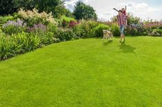 Ein Rasen ist oft das Herzstück vieler Gärten - als Spielwiese für die Kinder, als Untergrund für das perfekte Outdoor-Essen oder als Liegefläche für entspannte Sommerstunden. Damit die Grünfläche ihren Zweck auch erfüllen kann, sollten bereits vor dem Anlegen wichtige Faktoren wie Bodenqualität, Standort und Nährstoffversorgung berücksichtigt werden. (Foto: Industrieverband Agrar e.V. (IVA))